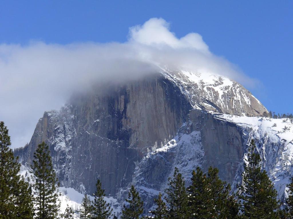 Yosemite Sierra View Bed & Breakfast Oakhurst Dış mekan fotoğraf